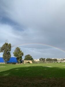 IMG_3366
