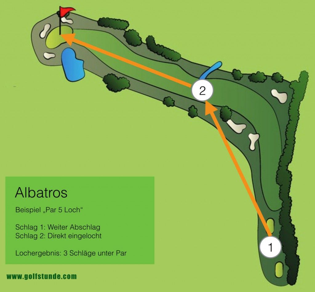 albatros 1024x952 1024x952 - Albatros