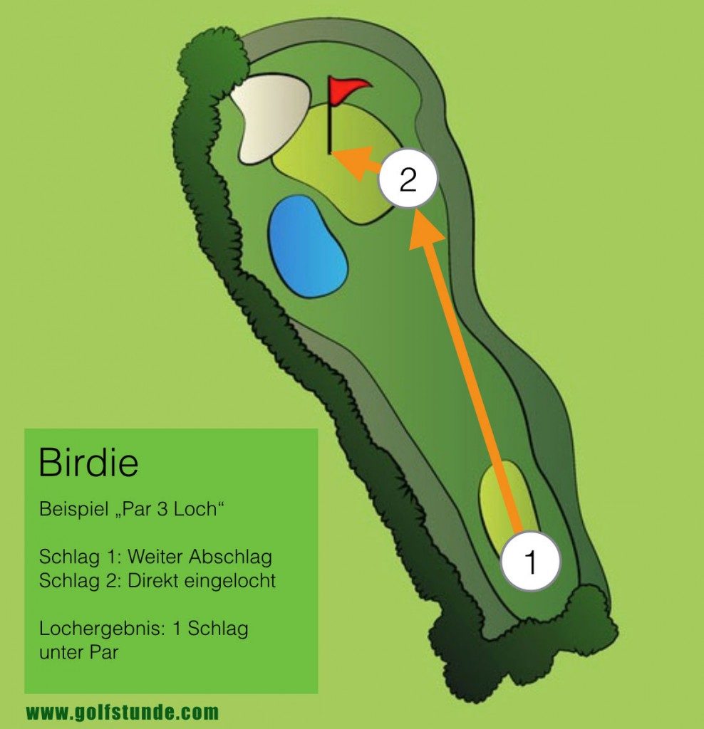 birdie 988x1024 988x1024 - Birdie