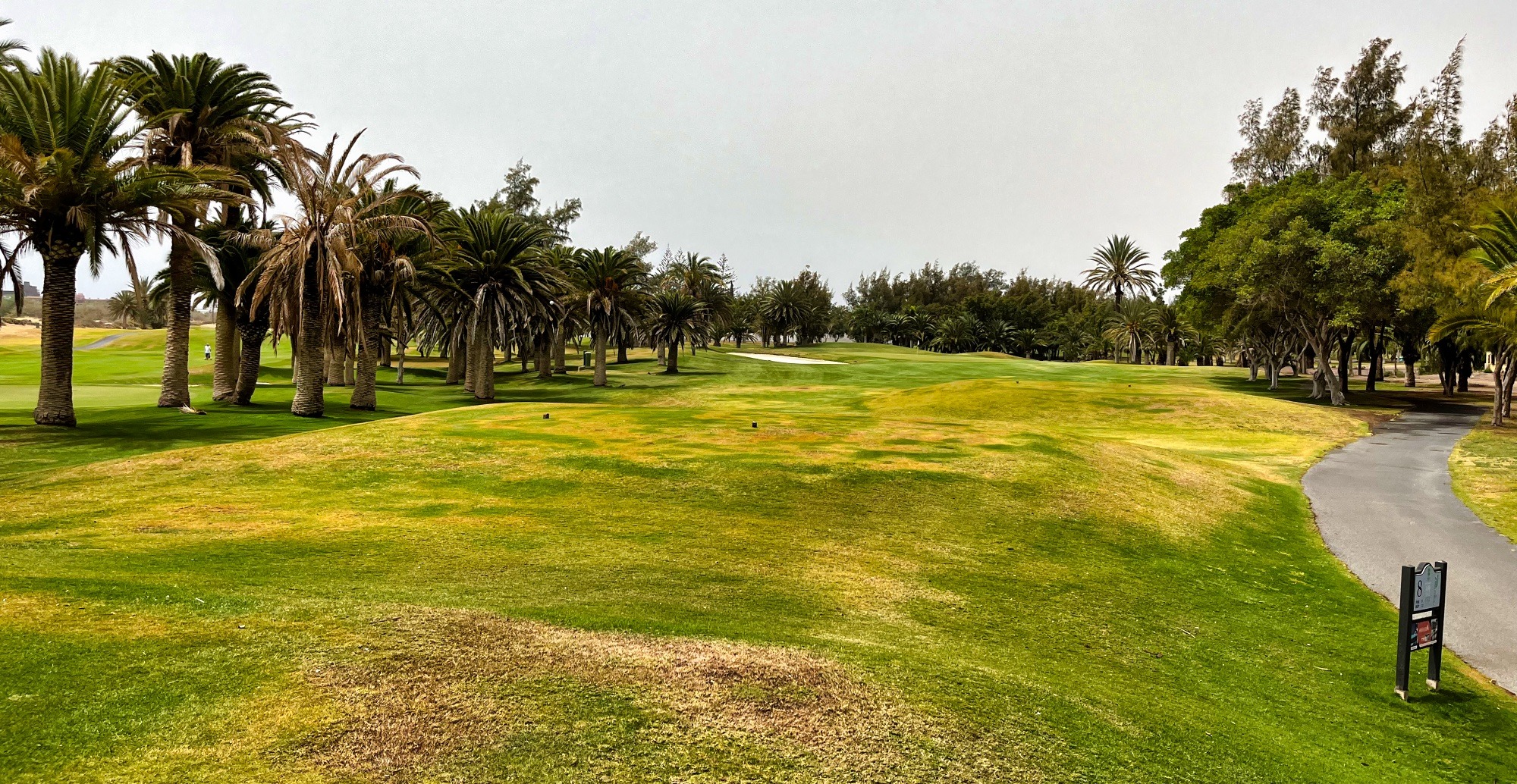 maspalomas golf maspalomas golf - Golfen auf Gran Canaria: Die schönsten Plätze von Anfi Tauro bis Meloneras