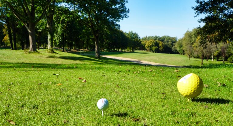 tee greenfee 768x418 - Golftipps für Anfänger und Späteinsteiger