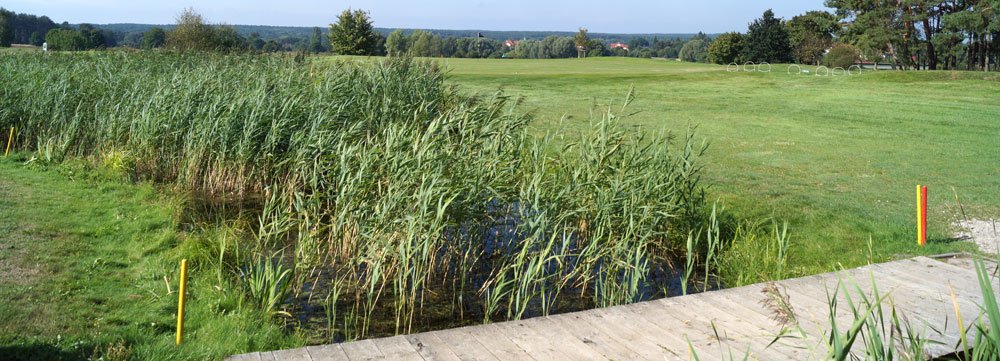 wasserhindernis regeln - Die 9 häufigsten Regelirrtümer bei Turnieren